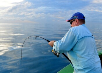 NT Report: Whip it … whip it good!